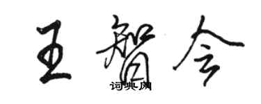 駱恆光王智會行書個性簽名怎么寫