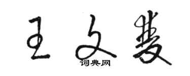 駱恆光王文雙草書個性簽名怎么寫