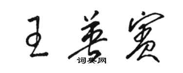 駱恆光王英賓草書個性簽名怎么寫