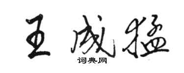 駱恆光王成猛行書個性簽名怎么寫