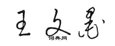 駱恆光王文墨草書個性簽名怎么寫