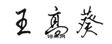 駱恆光王高葵行書個性簽名怎么寫