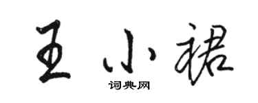 駱恆光王小裙行書個性簽名怎么寫