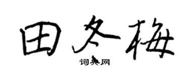 王正良田冬梅行書個性簽名怎么寫