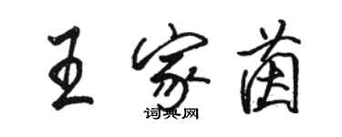 駱恆光王家茵行書個性簽名怎么寫