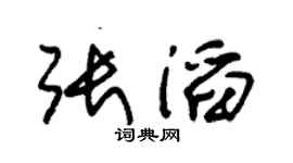 朱錫榮張滔草書個性簽名怎么寫