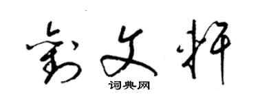 梁錦英劉文軒草書個性簽名怎么寫