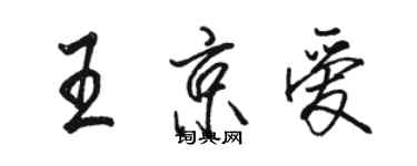 駱恆光王京愛行書個性簽名怎么寫