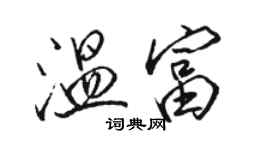 駱恆光溫富行書個性簽名怎么寫