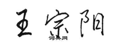 駱恆光王宗陽行書個性簽名怎么寫