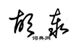 朱錫榮胡泰草書個性簽名怎么寫