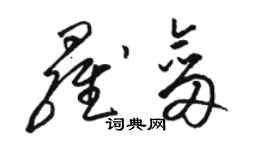 駱恆光羅劍草書個性簽名怎么寫