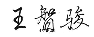 駱恆光王智駿行書個性簽名怎么寫