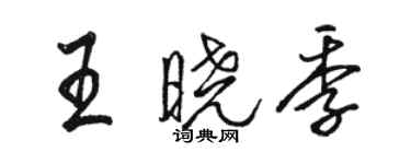 駱恆光王曉季行書個性簽名怎么寫