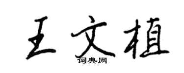 王正良王文植行書個性簽名怎么寫