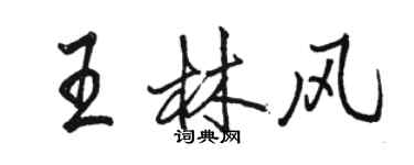 駱恆光王林風行書個性簽名怎么寫