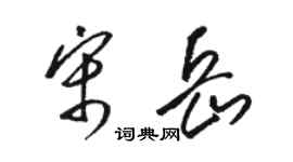 駱恆光宋岳草書個性簽名怎么寫