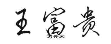 駱恆光王富貴行書個性簽名怎么寫