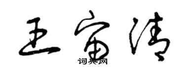 曾慶福王宙清草書個性簽名怎么寫