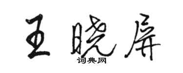 駱恆光王曉屏行書個性簽名怎么寫