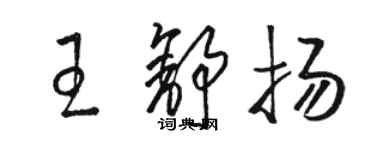 駱恆光王舒揚草書個性簽名怎么寫