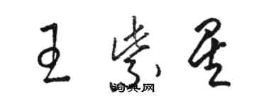 駱恆光王紫星草書個性簽名怎么寫