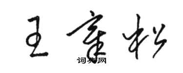 駱恆光王章松草書個性簽名怎么寫