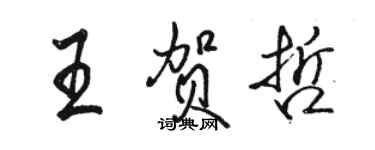 駱恆光王賀哲行書個性簽名怎么寫