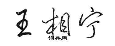 駱恆光王相寧行書個性簽名怎么寫