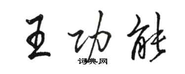 駱恆光王功能行書個性簽名怎么寫