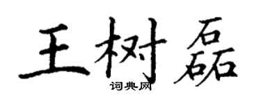 丁謙王樹磊楷書個性簽名怎么寫