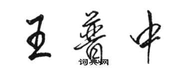 駱恆光王普中行書個性簽名怎么寫