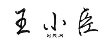 駱恆光王小臣行書個性簽名怎么寫