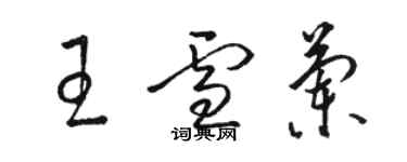 駱恆光王雪蘭草書個性簽名怎么寫