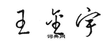 駱恆光王金宇草書個性簽名怎么寫
