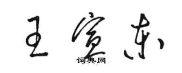 駱恆光王宣東草書個性簽名怎么寫