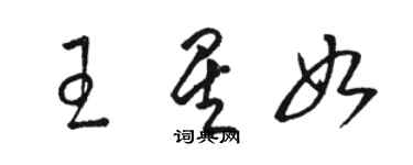 駱恆光王星如草書個性簽名怎么寫