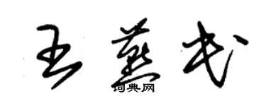 朱錫榮王燕民草書個性簽名怎么寫