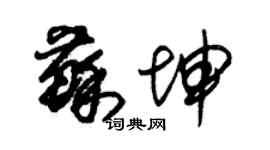 朱錫榮蘇坤草書個性簽名怎么寫