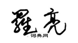 朱錫榮羅亮草書個性簽名怎么寫