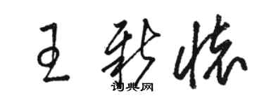 駱恆光王新懷草書個性簽名怎么寫