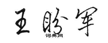 駱恆光王盼軍行書個性簽名怎么寫