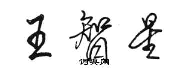 駱恆光王智星行書個性簽名怎么寫