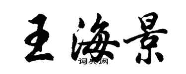 胡問遂王海景行書個性簽名怎么寫