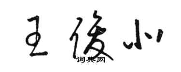 駱恆光王俊北草書個性簽名怎么寫