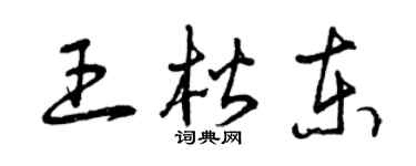 曾慶福王楷東草書個性簽名怎么寫