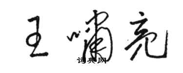 駱恆光王嘯亮草書個性簽名怎么寫