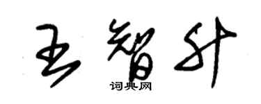 朱錫榮王智升草書個性簽名怎么寫