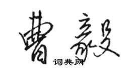 駱恆光曹毅行書個性簽名怎么寫