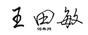 駱恆光王田敏行書個性簽名怎么寫